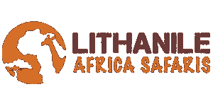 Lithanile Africa Safaris Logo