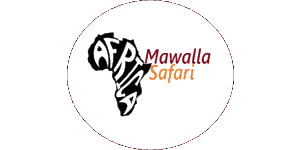 Mawalla Safari