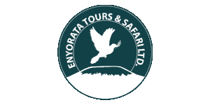 Enyorata Tours & Safaris Enyorata Tours & Safaris