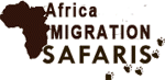 Africa Migration Safaris