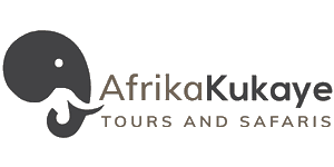 Afrikakukaye Tours and Safaris  Logo