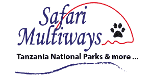 Safari Multiways Logo