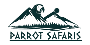 Parrot Safari