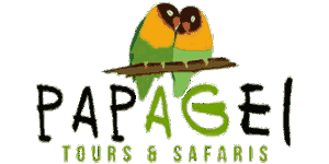 Papagei Tours and Safaris logo