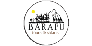 Barafu Tours & Safaris Logo