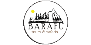 Barafu Tours & Safaris