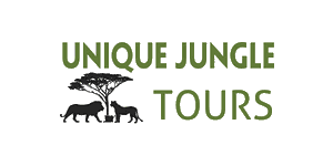 Unique Jungle Tours
