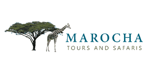 Marocha Tours and Safaris Logo