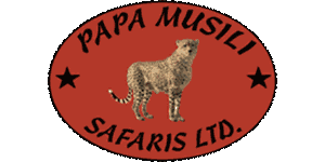 Papa Musili Safaris Logo