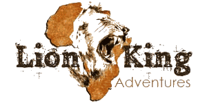 Lion King Adventures logo