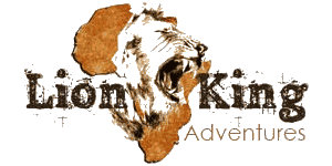 Lion King Adventures Logo