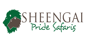 Sheengai Pride Safaris