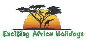 Exciting Africa Holidays