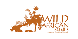Adequate African Safaris Logo