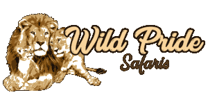 Wild Pride Safaris Logo