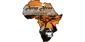 Arrive Africa Safaris Logo