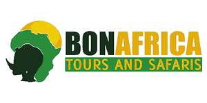 Bonafrica Tours & Safaris Logo