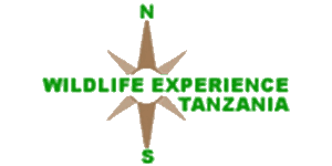 Wildlife Experience Tanzania Logo