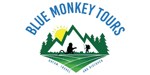 Blue Monkey Tours Logo