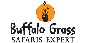 Buffalo Grass Safaris Expert Logo
