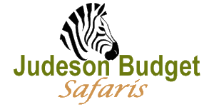 Judeson Budget Safaris Logo