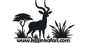 Kijijini Cultural Tourism Enterprise Logo