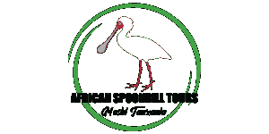 African Spoonbill Tours and Safaris logo