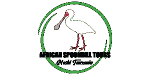 African Spoonbill Tours and Safaris Logo