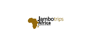 Jambo Trips Africa Tours