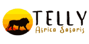 Telly Africa Safaris Logo