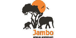 Jambo African Adventures Logo
