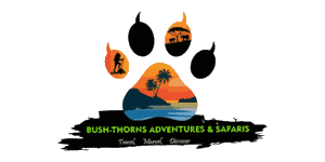 Bush-thorns Adventures and Safaris Logo