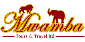 Mwamba Tours and Travel  Logo