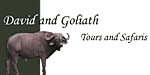 David & Goliath Tours Safaris Logo