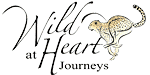 Wild at Heart Journeys