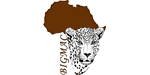 Bigmac Africa Safaris Logo