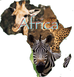 Love Africa Safaris