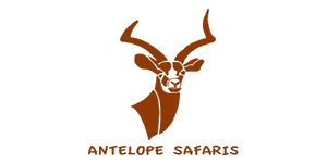 Antelope Safaris  Logo