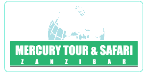 Mercury Tours