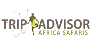 Trip Advisor Africa Safaris