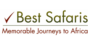 Best Safaris Logo