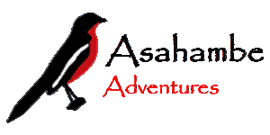 Asahambe Adventures