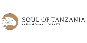 Unlimited Expeditions: The Soul of Tanzania Logo