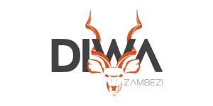 Diwa Zambezi Logo