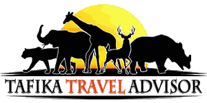 Tafika Travel Advisor
