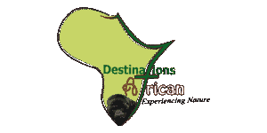 Destinations African Gorilla Limited