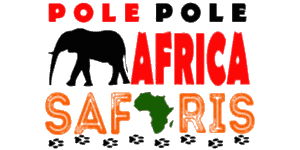 Pole Pole Africa Safaris