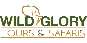 Wildglory Tours and Safari