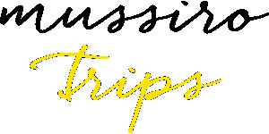 Mussiro Trips Lda Logo