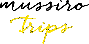 Mussiro Trips Lda logo